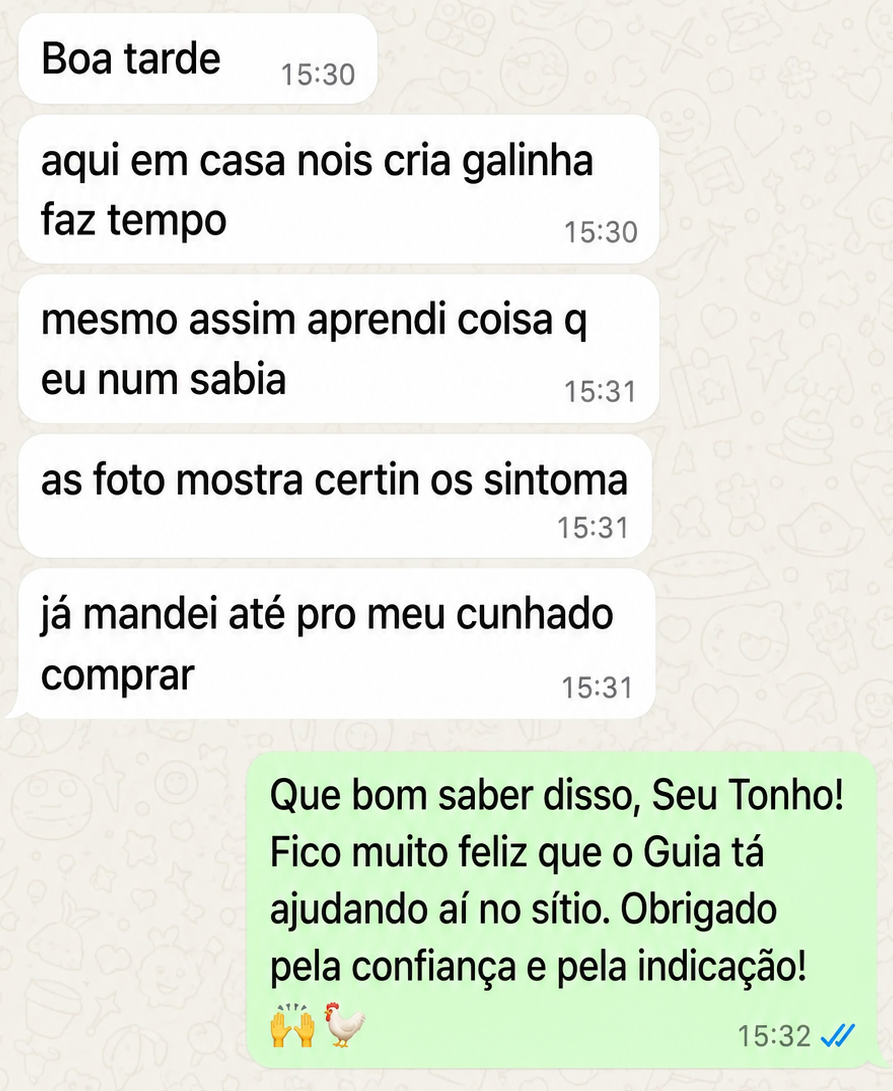 Depoimento 2